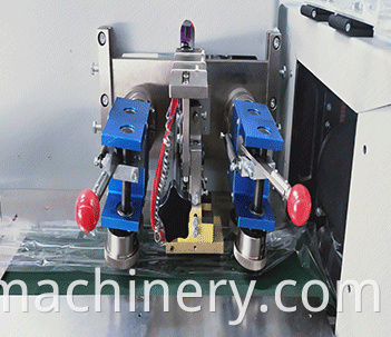 Fruit Vegetable Packaging Machine